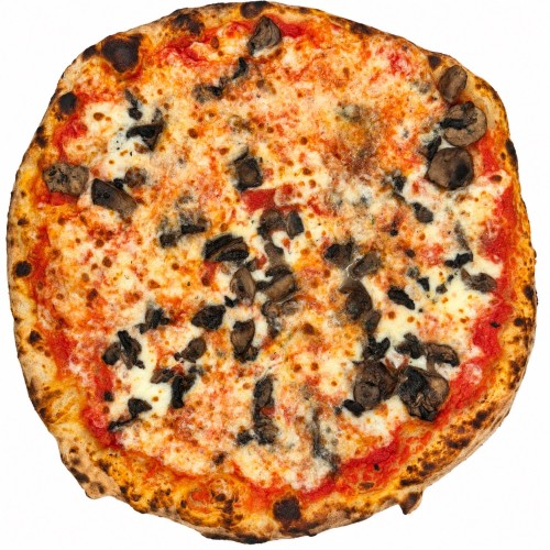 FUNGHI