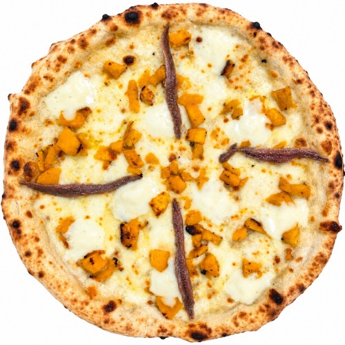 ZUCCA CASATELLA ACCIUGHE